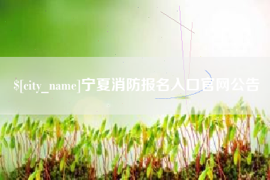 济南宁夏消防报名入口官网公告