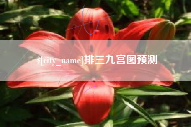 济南排三九宫图预测