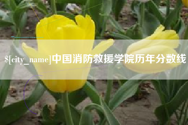济南中国消防救援学院历年分数线