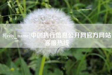 济南中国执行信息公开网官方网站客服热线