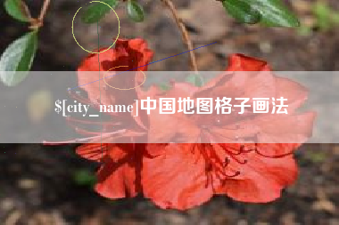 济南中国地图格子画法