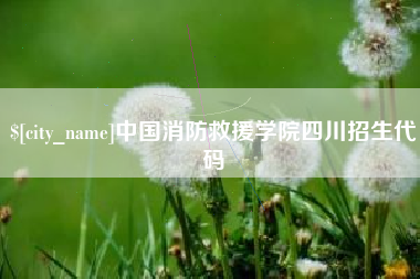 济南中国消防救援学院四川招生代码