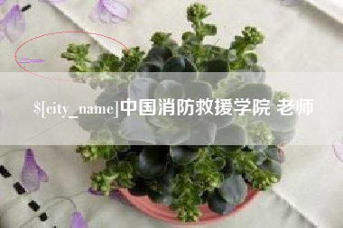 济南中国消防救援学院 老师