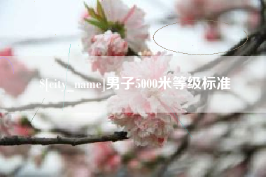 济南男子5000米等级标准
