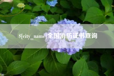 济南全国消防证书查询