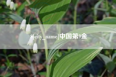 济南中国第9金