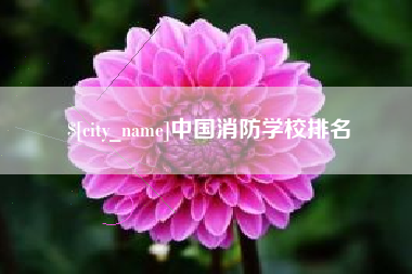 济南中国消防学校排名