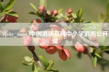 济南中国消防官网中小学消防公开课