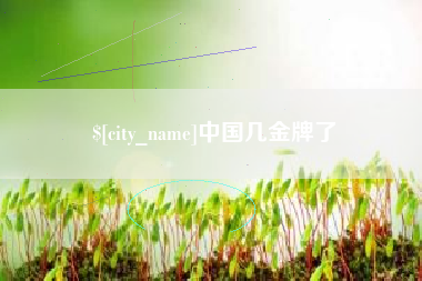 济南中国几金牌了