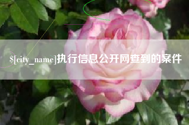 济南执行信息公开网查到的案件