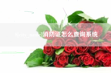 济南消防证怎么查询系统