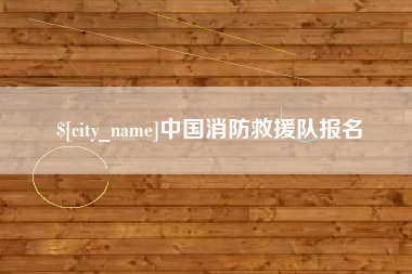 济南中国消防救援队报名