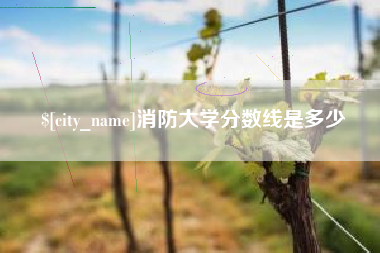 济南消防大学分数线是多少