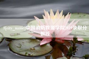 济南中国消防救援学院2019录取分数线