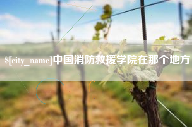 济南中国消防救援学院在那个地方