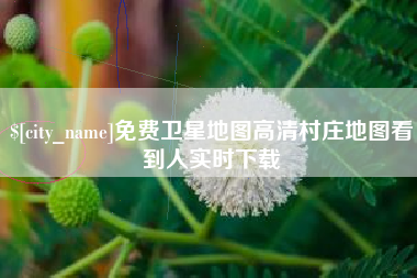 济南免费卫星地图高清村庄地图看到人实时下载