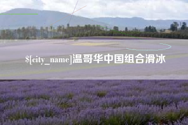 济南温哥华中国组合滑冰