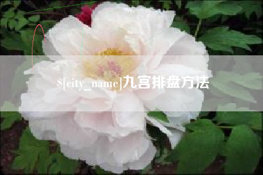 济南九宫排盘方法