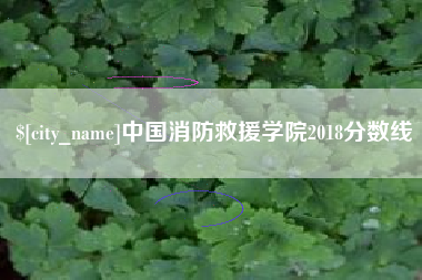 济南中国消防救援学院2018分数线