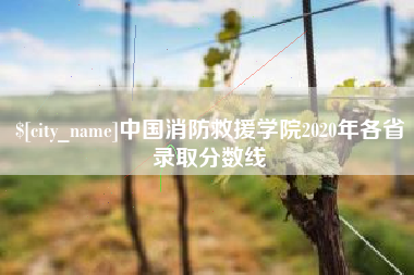 济南中国消防救援学院2020年各省录取分数线
