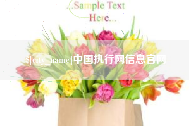 济南中国执行网信息官网