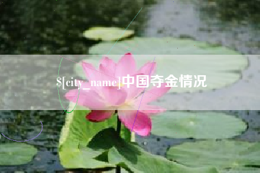 济南中国夺金情况