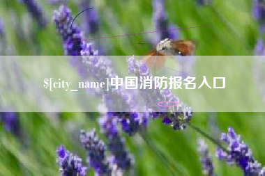 济南中国消防报名入口