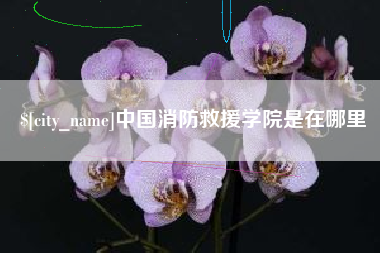 济南中国消防救援学院是在哪里