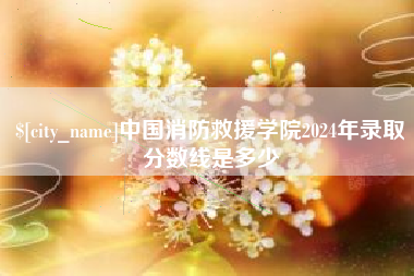 济南中国消防救援学院2024年录取分数线是多少