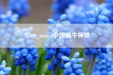 济南中国最牛保镖