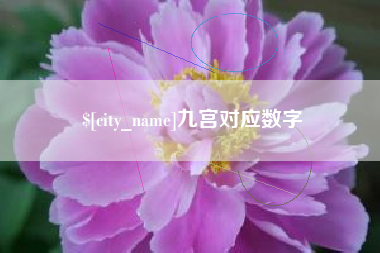 济南九宫对应数字