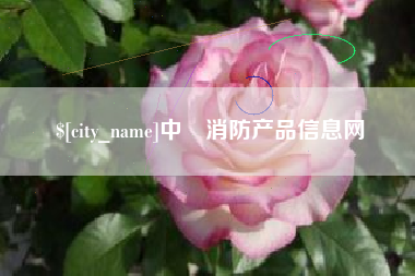 济南中囯消防产品信息网