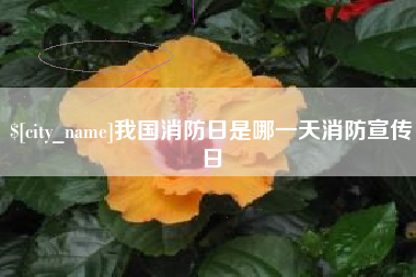济南我国消防日是哪一天消防宣传日