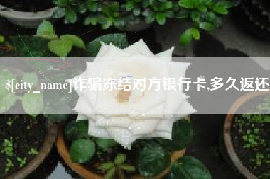 济南诈骗冻结对方银行卡,多久返还