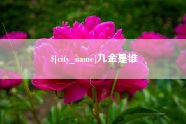 济南九金是谁