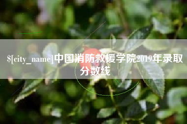 济南中国消防救援学院2019年录取分数线