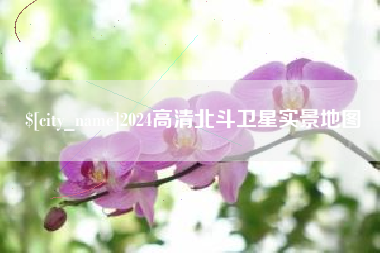 济南2024高清北斗卫星实景地图