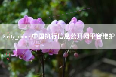 济南中国执行信息公开网平台维护