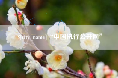 济南“中国执行公开网”