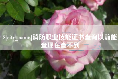 济南消防职业技能证书查询以前能查现在查不到
