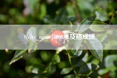 济南5000米及格成绩