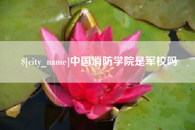 济南中国消防学院是军校吗