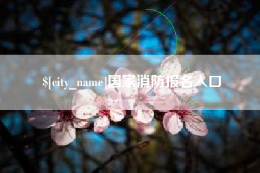 济南国家消防报名入口