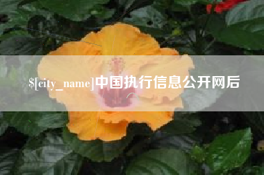 济南中国执行信息公开网后