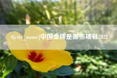 济南中国金牌是哪些项目2021