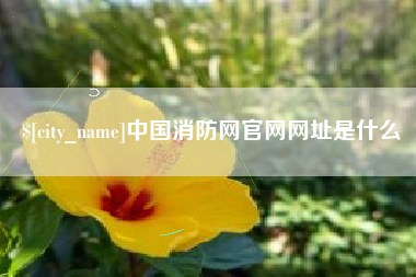 济南中国消防网官网网址是什么