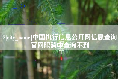 济南中国执行信息公开网信息查询官网限消中查询不到