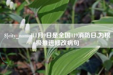 济南11月9日是全国119消防日,为积极推进修改病句