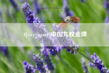 济南中国九枚金牌