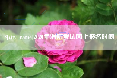 济南2020年消防考试网上报名时间